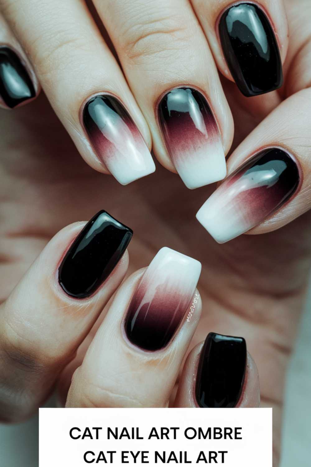 Close-up of hands showing ombre nail art. The nails feature a gradient from deep burgundy to white tips. The nails are almond-shaped, with some having a glossy black finish. Text at the bottom reads Cat Nail Art Ombre Cat Eye Nail Art.